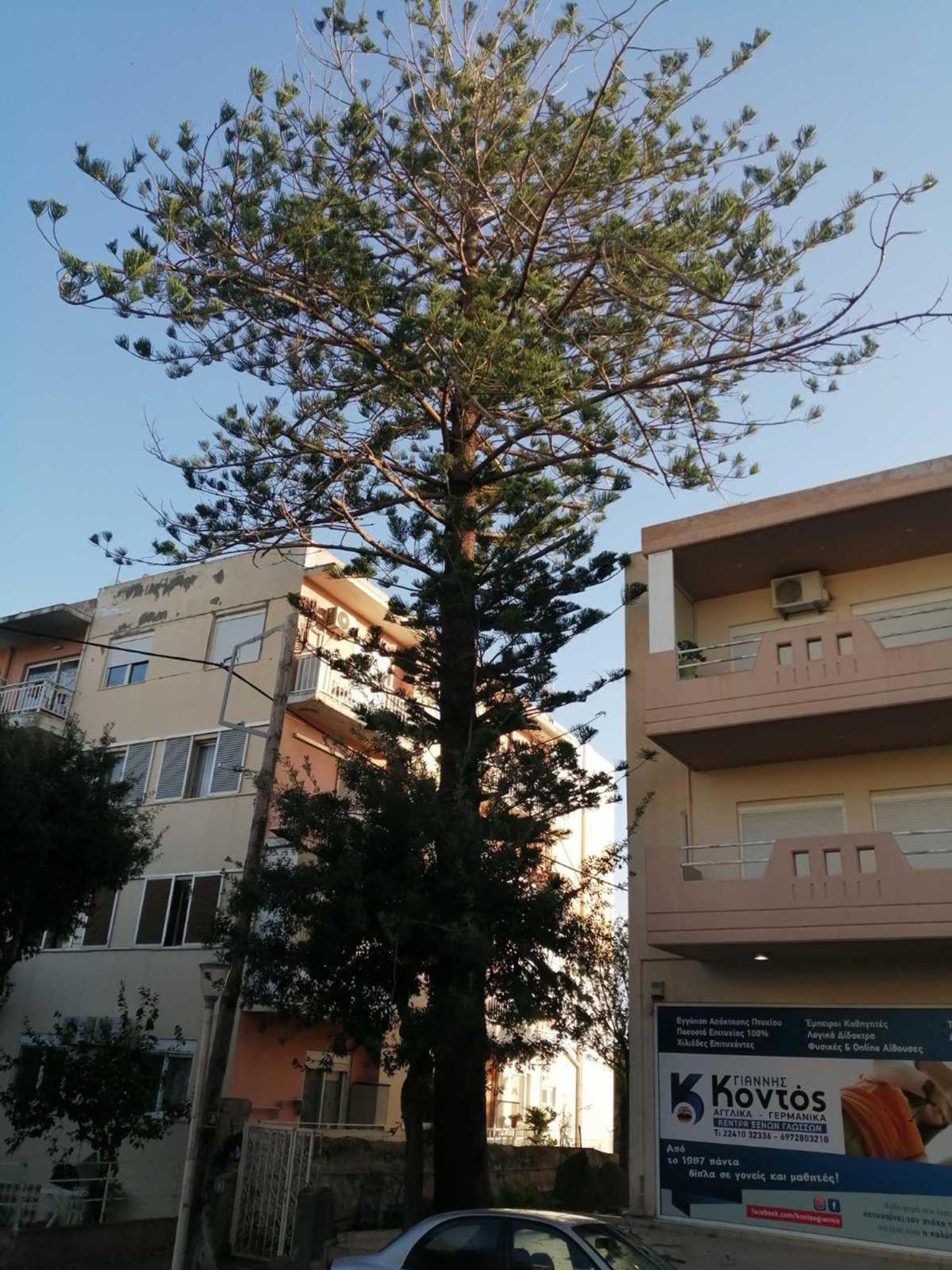 Rhodes City Apartment 29 מראה חיצוני תמונה